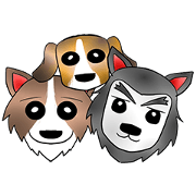 Here we found three dogs