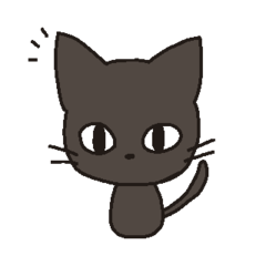 Black Cat,Kurota
