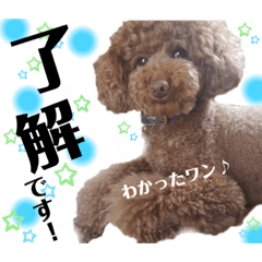 MIZUKI_20200723125801