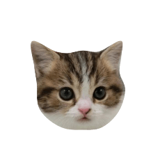 kanae_20200723020930