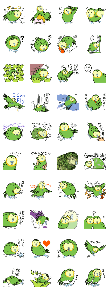 Kakapo in Yutoritou