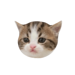 kanae_20200723021055