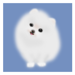 Cute White Pomeranian by Masayumi