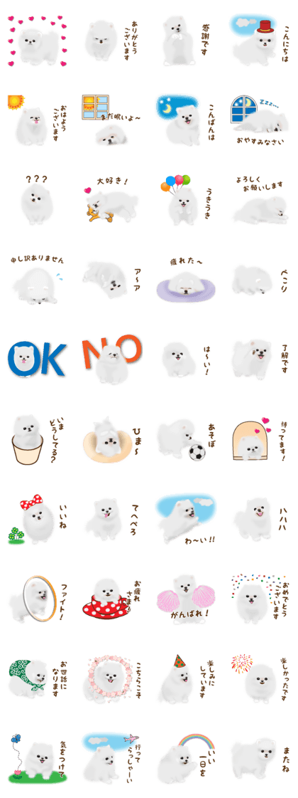 Cute White Pomeranian by Masayumi