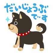 Gokigen Shiba inu's