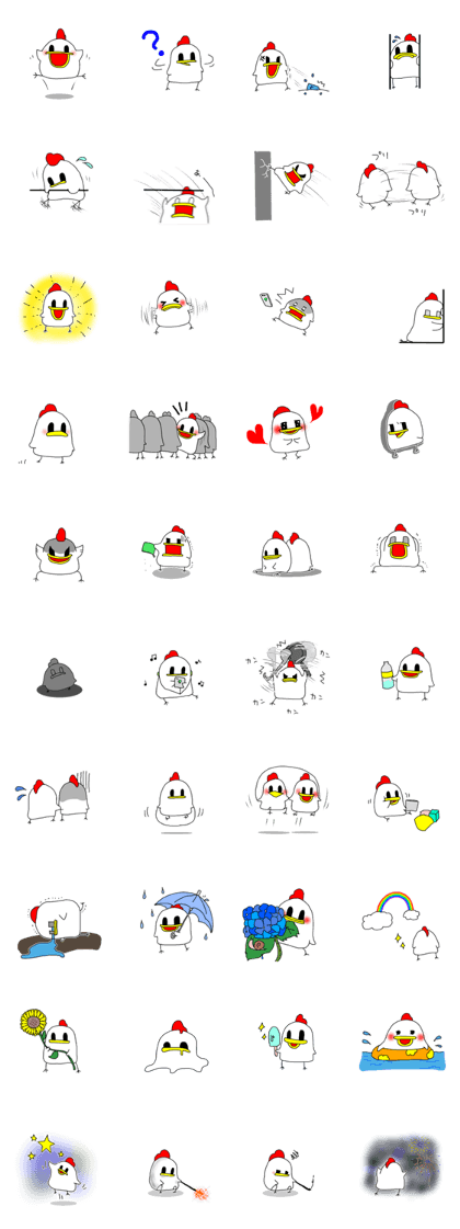 every day Chicken(summer)