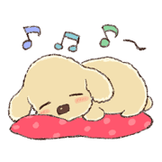 YURUFUWA three toy poodles