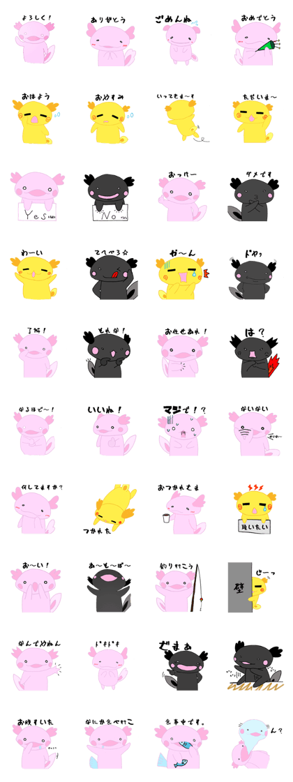 Daily life of the axolotl