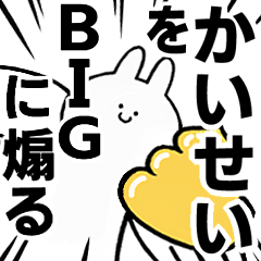 BIG Rabbits feeding [Kaisei]