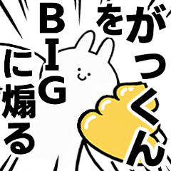 BIG Rabbits feeding [Gatu-kun]