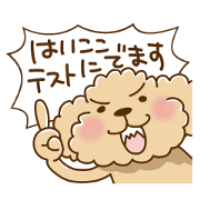 Putaro the Poodle 7