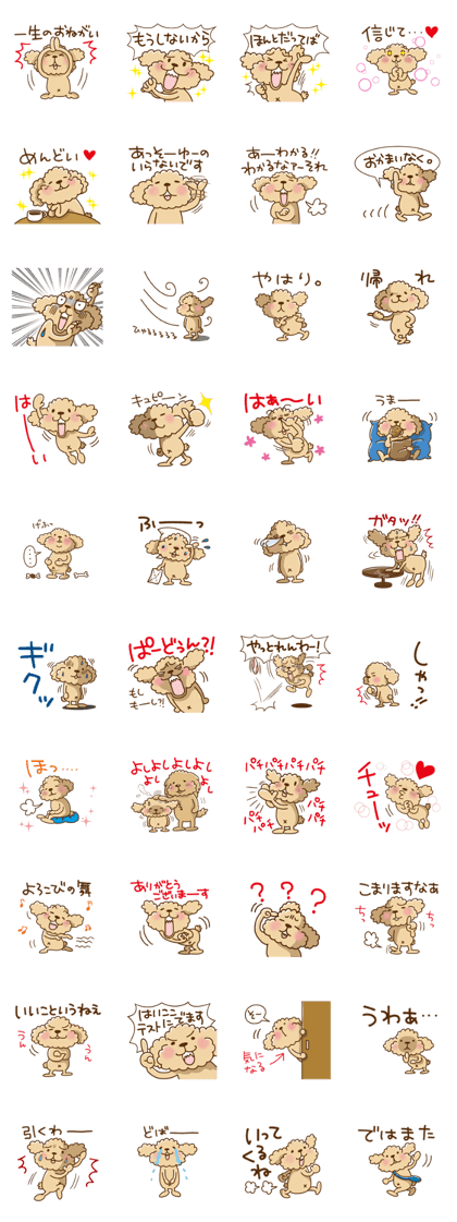 Putaro the Poodle 7