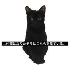kero_20200723122645