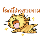 Maru Maru cat