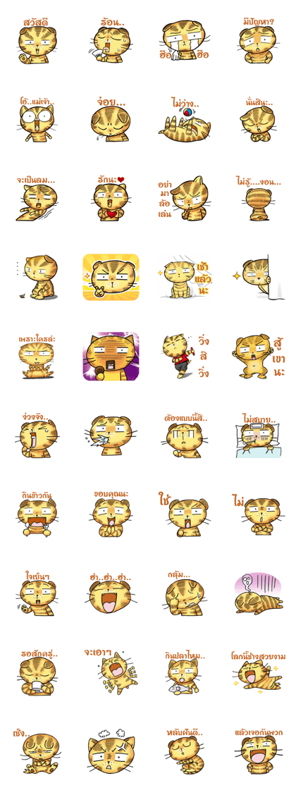 Maru Maru cat