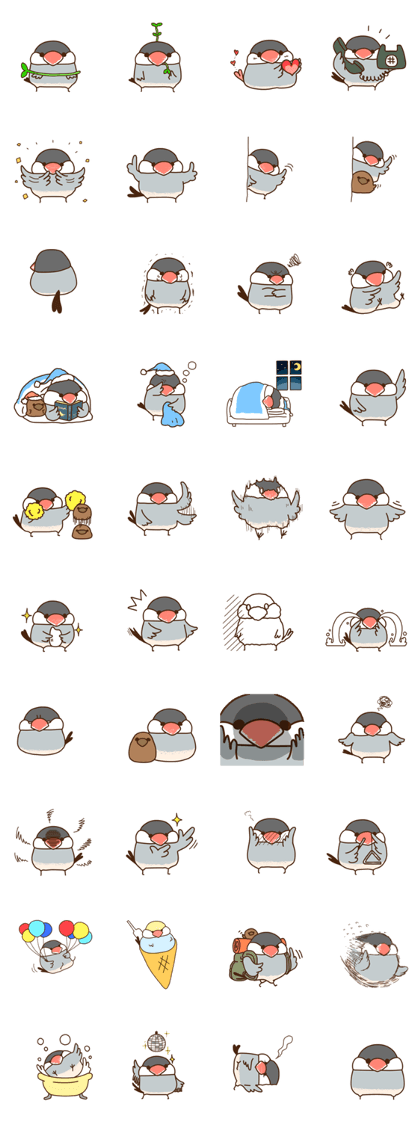 The java sparrow.