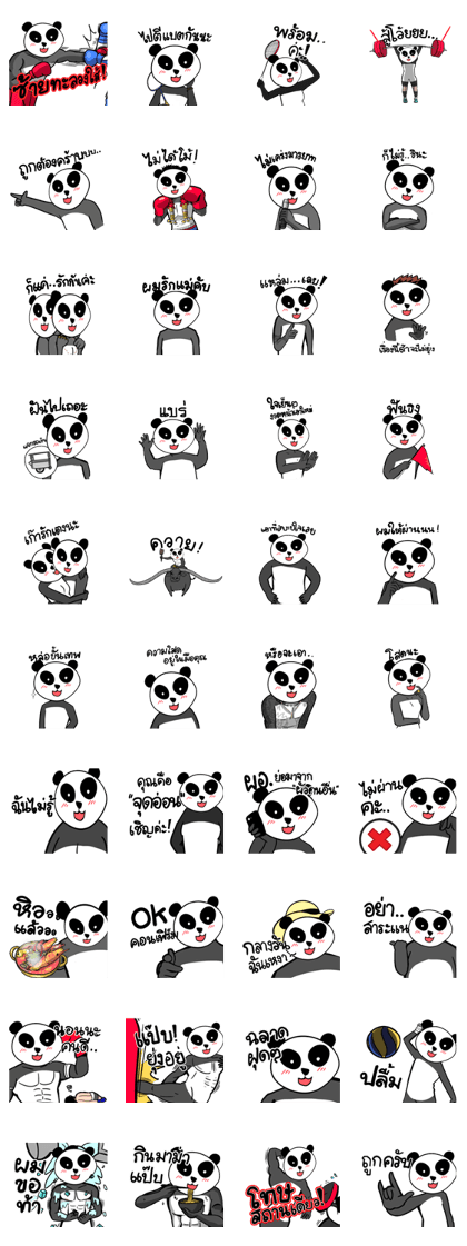 PANDA MASK55