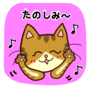 Happy Tabby Cat with Japanese