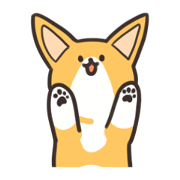 My Welsh Corgi