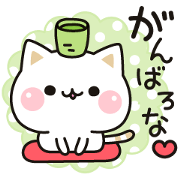 Cat to concern(Kansai dialect ver.)