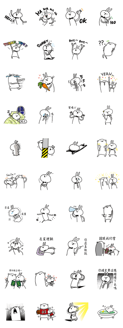 Bears love rabbit