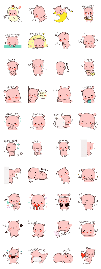 beloved rabbit Moko