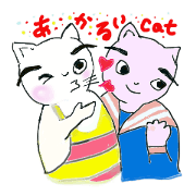 Keep eyebrows cat in house.