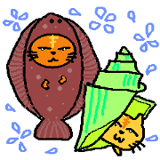 Hermit crab cat twins2