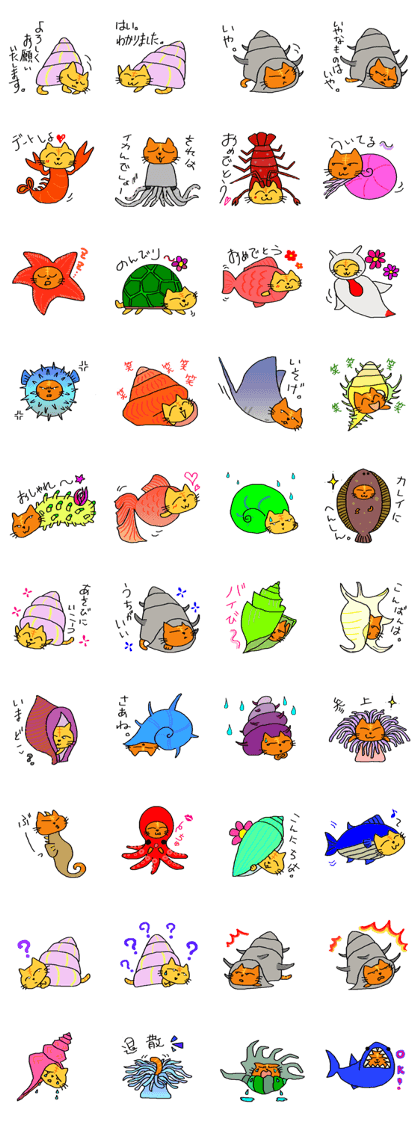 Hermit crab cat twins2