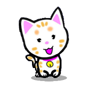 tama of cat