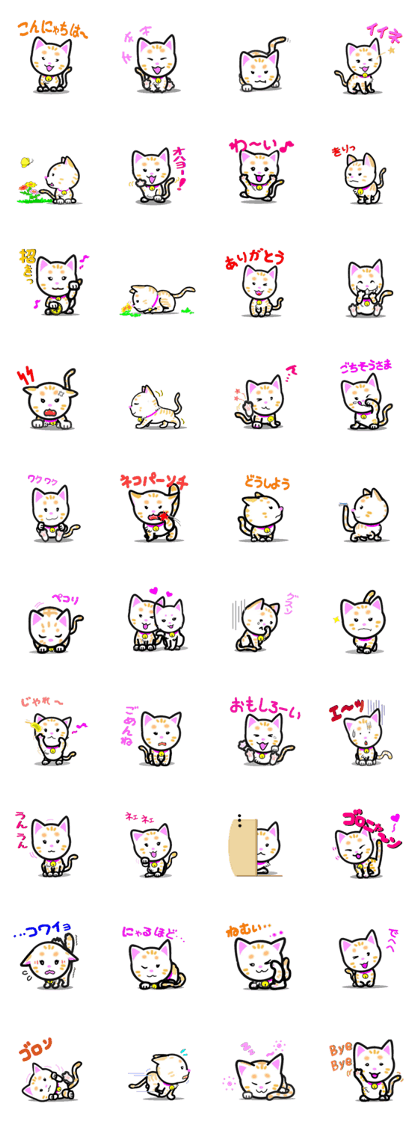 tama of cat