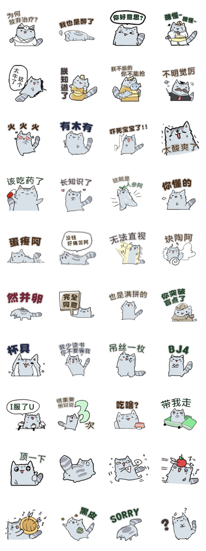 Cat talks in China