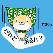 Balloon and Small Shiba Inu
