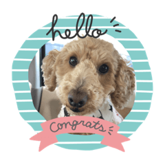 cherry_20200723165528