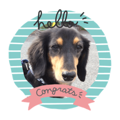 cherry_20200723165050