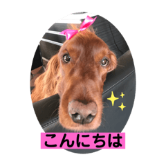 ASAKO_20200723165830