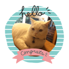 cherry_20200723170151