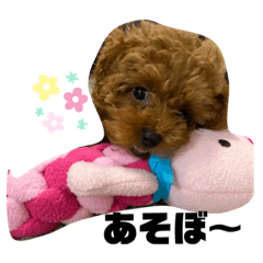 michiko_20200723165222