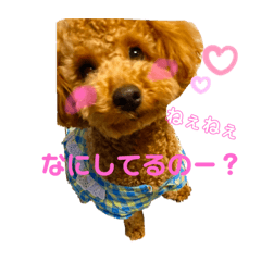 hana_20200723170726