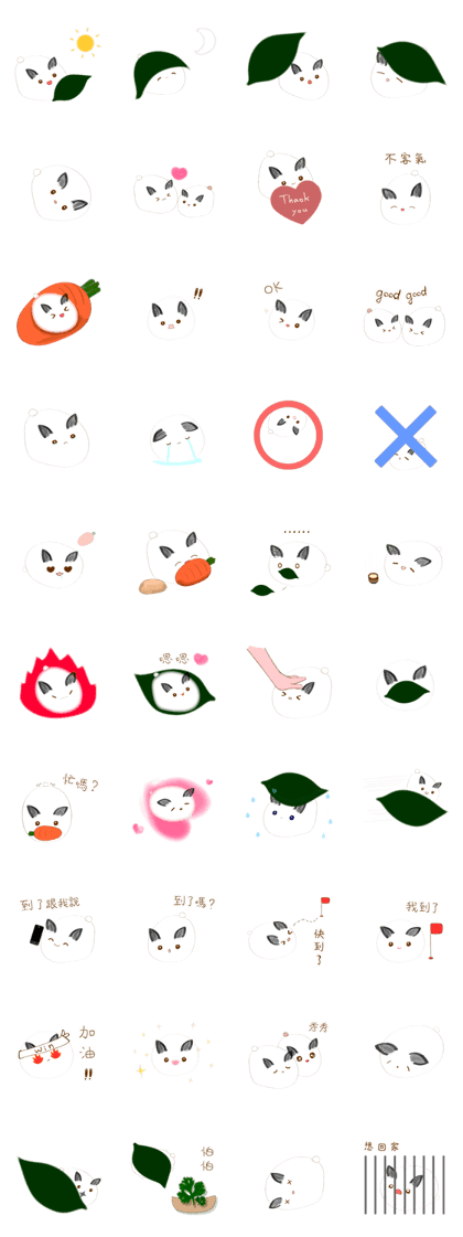 Machi rabbit