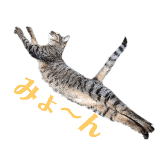 izumi123_20200723193239