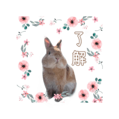 Cherry_20200723213553