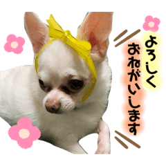 mizuki_20200723225705