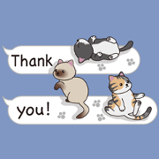 Cat cat cat English version