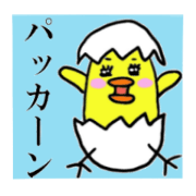 HIYOKO THE CHICK