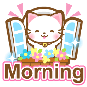 White&pink colored Cat-English-