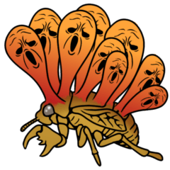 Trembling cicada - Cordyceps sinensis -