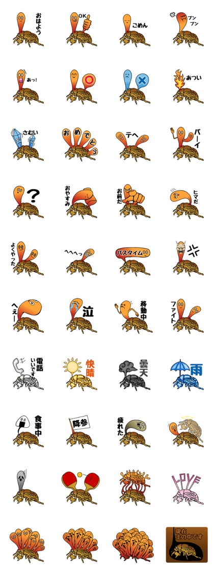 Trembling cicada - Cordyceps sinensis -