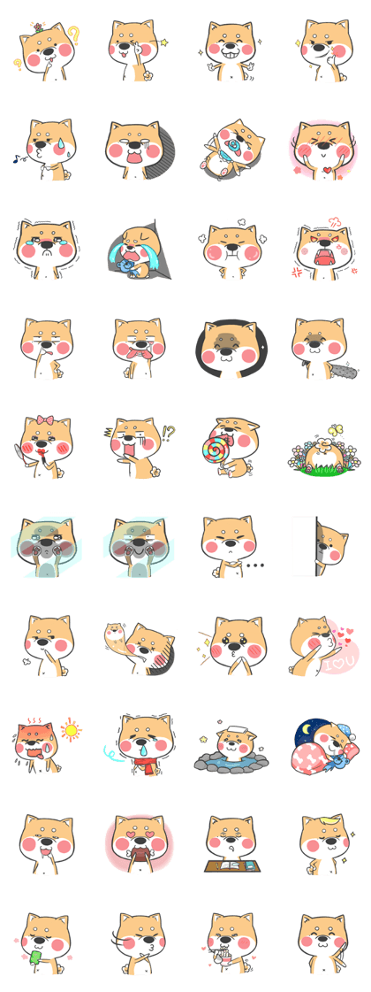 shiba-dog DUDU!