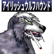Irish wolfhound